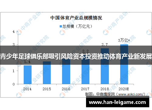 青少年足球俱乐部吸引风险资本投资推动体育产业新发展